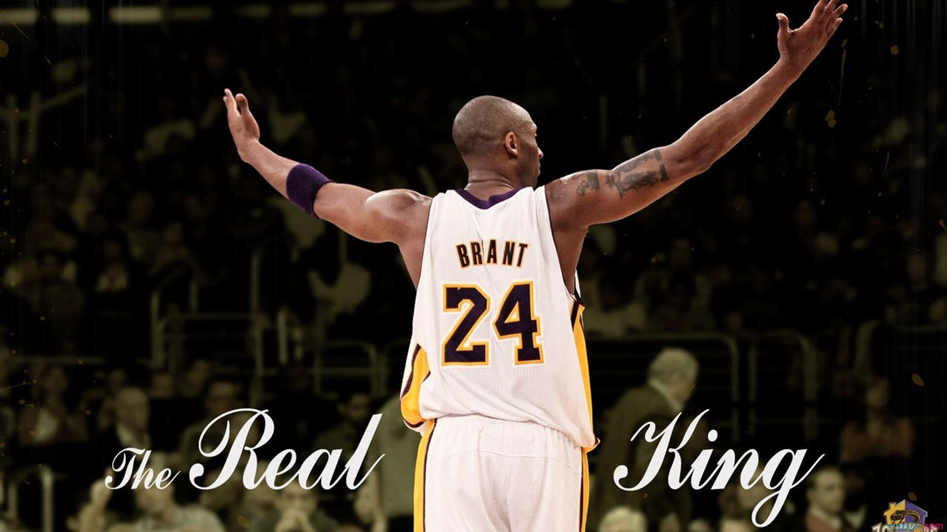 橄榄球冠军锦标赛：南半球四国谁将称雄，2020年橄榄球锦标赛